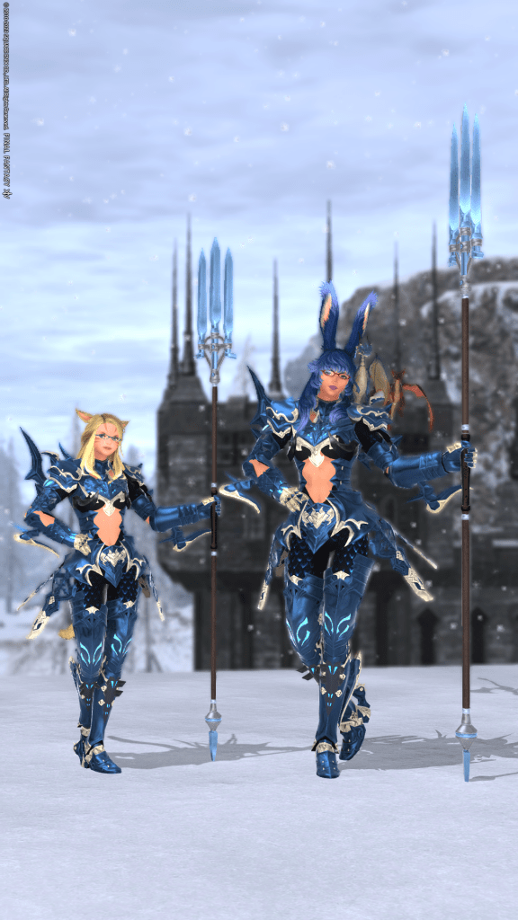 Aikirees and I as Azure Dragoons at level 50.