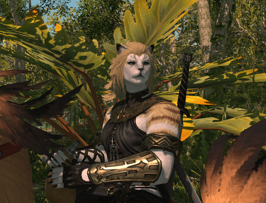 Potential future where Aikirees is a Hrothgar riding on a chocobo.