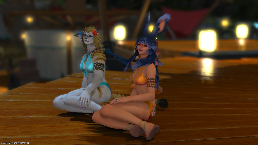Aikirees and I looking out at the Moonfire Faire's fireworks.